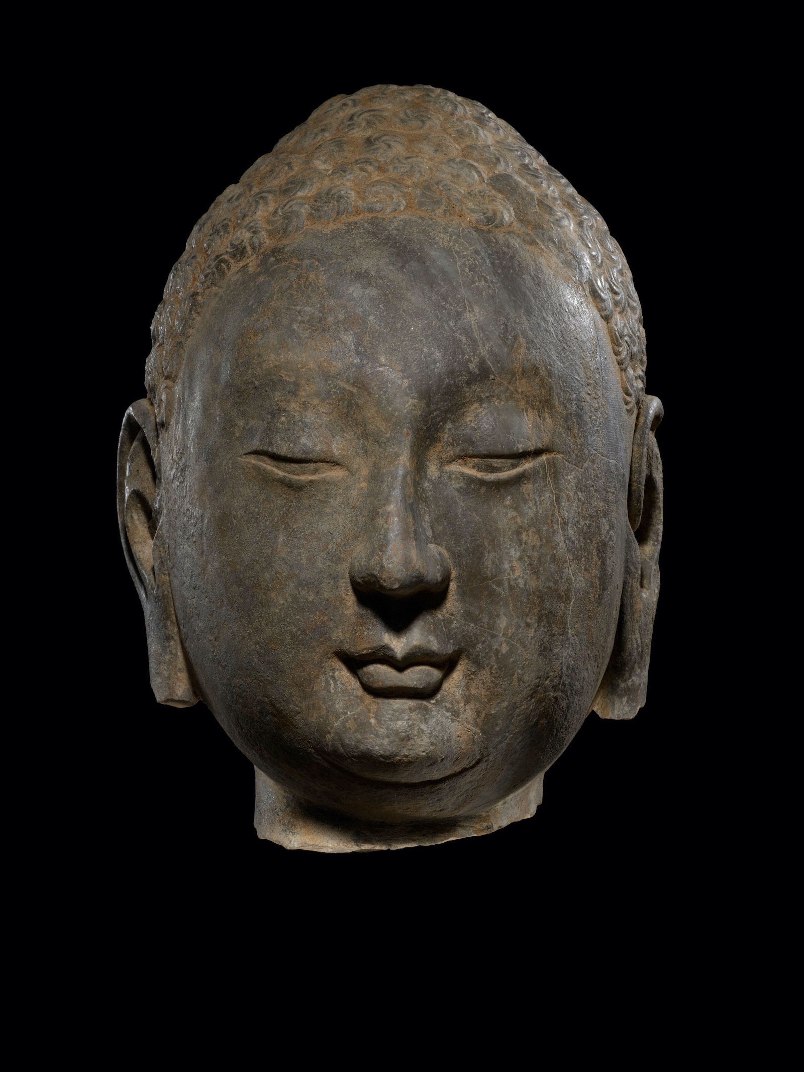 Head of a Buddha