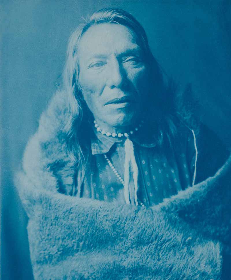 Cyanotype - Red Plume - Piegan