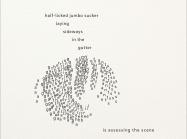 Disaster Relief poem