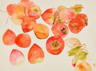Ruth Asawa Untitled (WC.252, Persimmons), c. 1970s–80s Watercolor on paper 14 x 17 in. (35.6 x 43.2 cm) Private collection. Artwork © 2023 Ruth Asawa Lanier, Inc./Artists Rights Society (ARS), New York. Courtesy David Zwirner