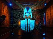  Glowing transgenic silk garment