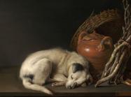 Gerrit Dou, Sleeping Dog, 1650.