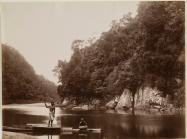 Navua River Scene, Fiji