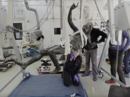 conservationists at work on The Drunken Satyr 