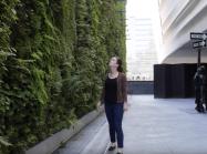 woman looks at SFMOMA Living Wall