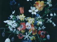 Siri Thorson, Polaroid from the series Portrait of the San Juan Islands