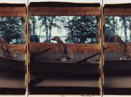 William Wegman, Sent, 1991. Color Polaroids, each 24 x 20 in.