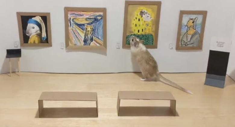 Gerbils look at fake art