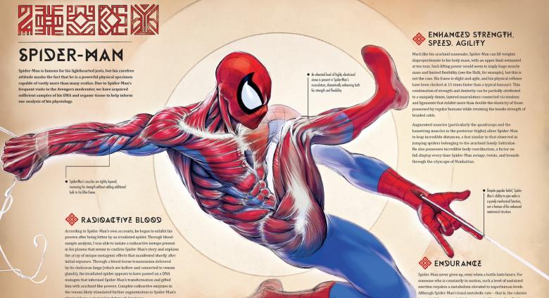 The Making of Spider-Man - Marvel Anatomy
