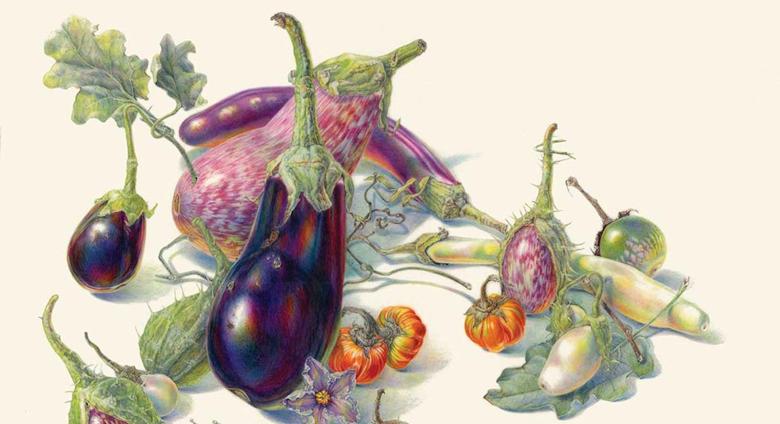 Eggplant- Jean Emmons, “Eggplants,” watercolor on vellum, 2020.
