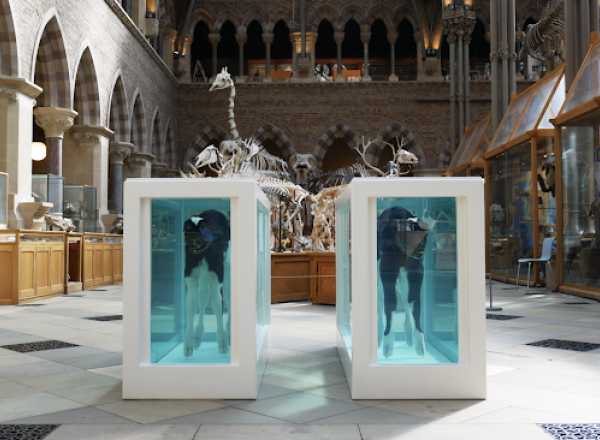 Damien Hirst, Cain and Abel, pictured in the Oxford University Museum of Natural History