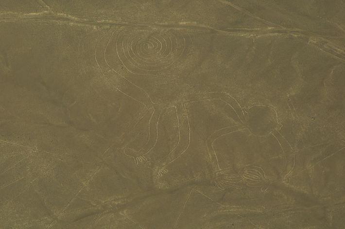 Aerial view of the “Monkey,” one of the most popular geoglyphs of the Nazca Lines, 200 BC - 800 AD. Nazca Desert, Peru.