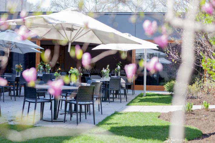 Come to the Barnes Foundation to take in one of the world's greatest collections of impressionist, post-impressionist, and early modern paintings and be sure to stop in for a bite at Garden Restaurant, the Barnes’ beautiful indoor and outdoor restaurant. 
