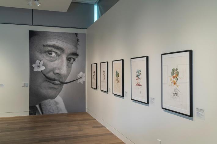 View of Salvador Dali: Gardens of the Mind at Denver Botanic Gardens.