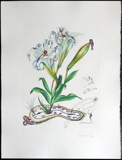 Dalí, Montre molle (Melting Watch) from the Surrealist Flowers series, 1972. Engraving. Photogravure print. 