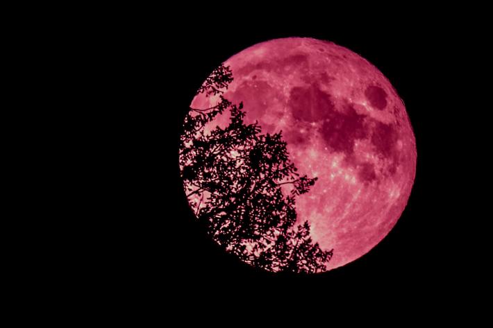 Diane Allison, Strawberry Moon.