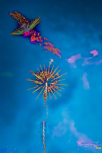 Fireworks. © Diane Allison, 2021.