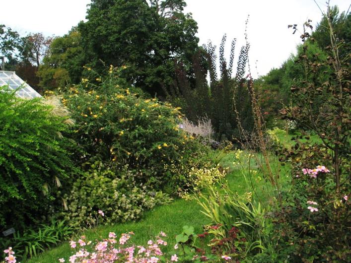 The greenery of the Snug Harbor Cultural center