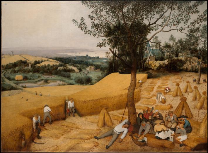 Pieter Bruegel the Elder painting of men harvesting a field of hay